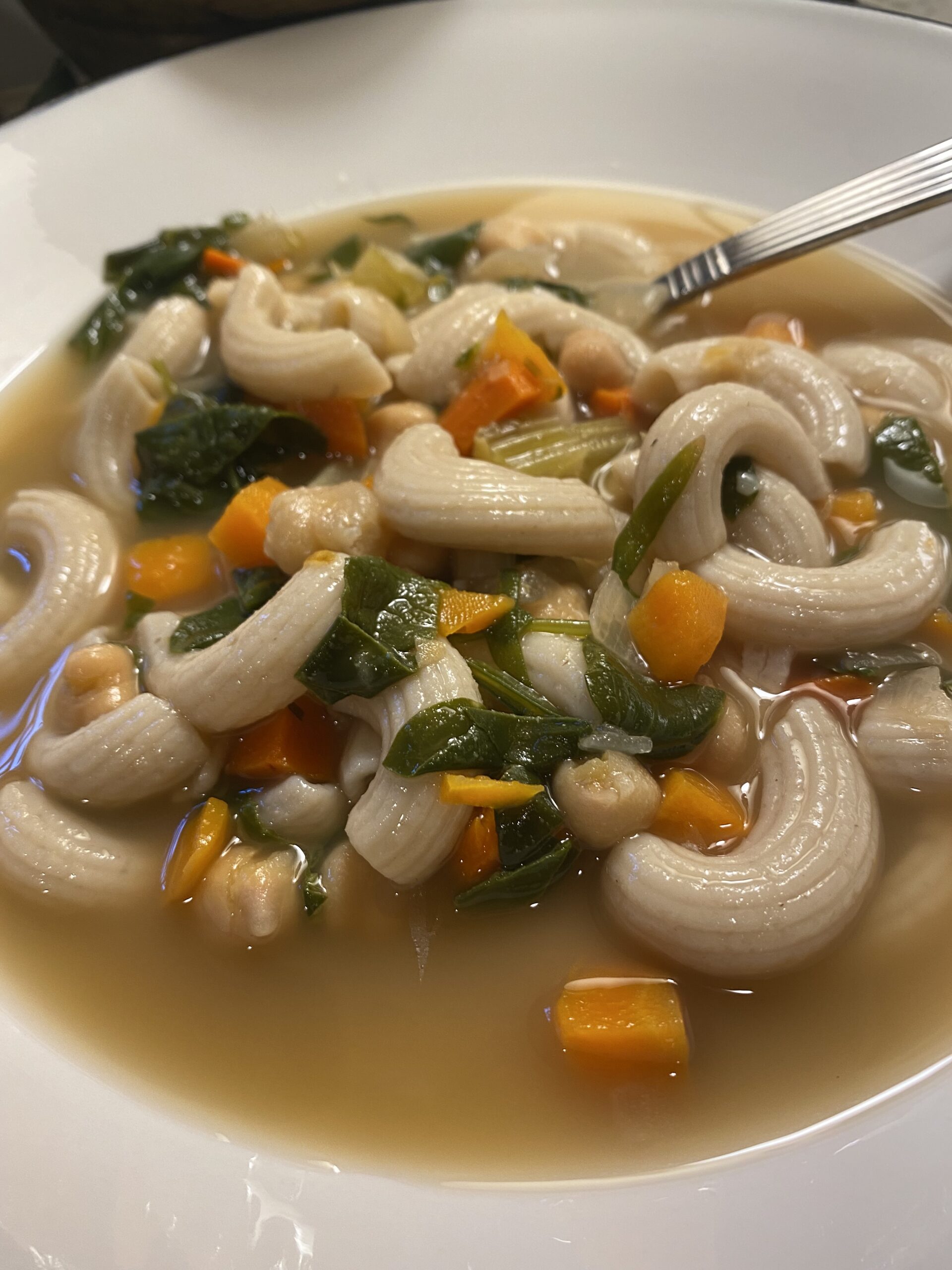Chickpea and Vegetable Noodle Soup
